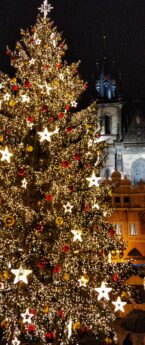 Traditions tchèques de Noël : le sapin de Noël de Prague